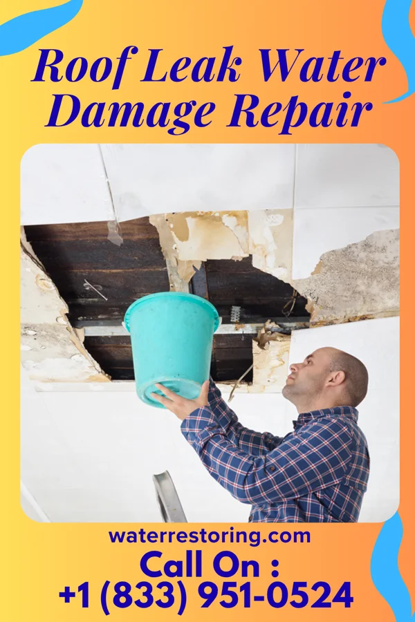 Roof Leak Water Damage Repair in Lipan, TX